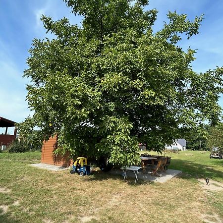 Agroturystyka U Krystyny Moryn Extérieur photo